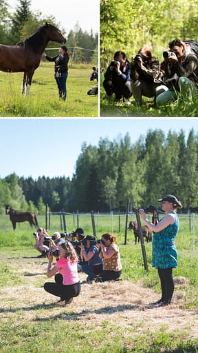 Paivakummun Minnan Hevoskuvauspaivat