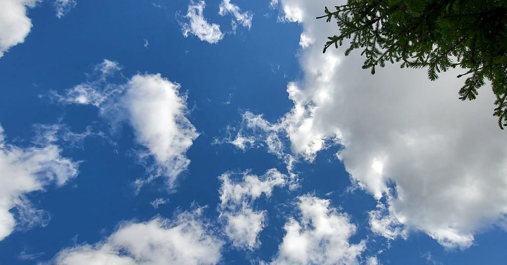 Sininen taivas, poutapilviä, koivunlehtiä, koska nuoret, he voivat lentää.