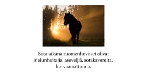 Kuvassa suomenhevonen ja nousevan auringon säteet sekä teksti siitä, mitä kaikkea hevonen sodassa oli.