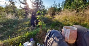 Aamukahvit metsässä, minä ja koira ja aurinko.