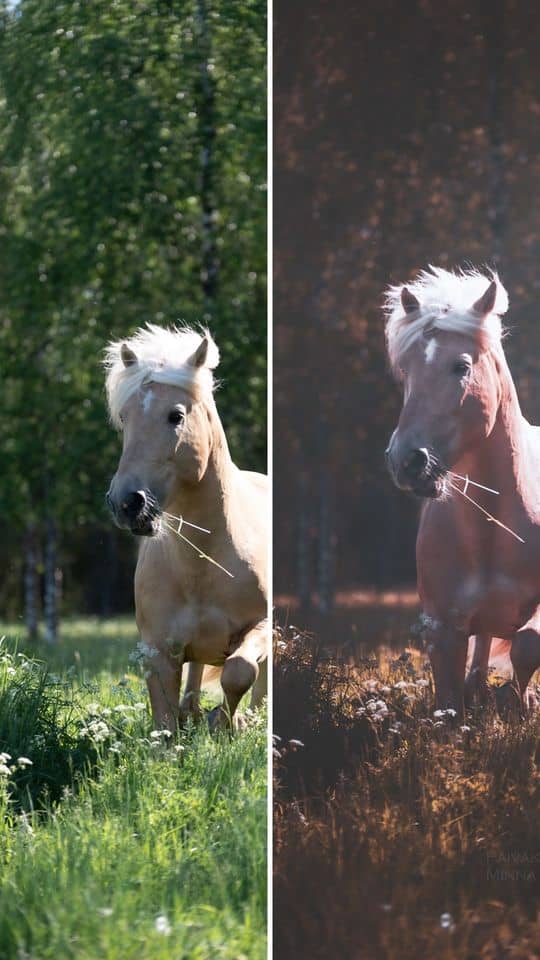 Ennen jalkeen treenikuvia